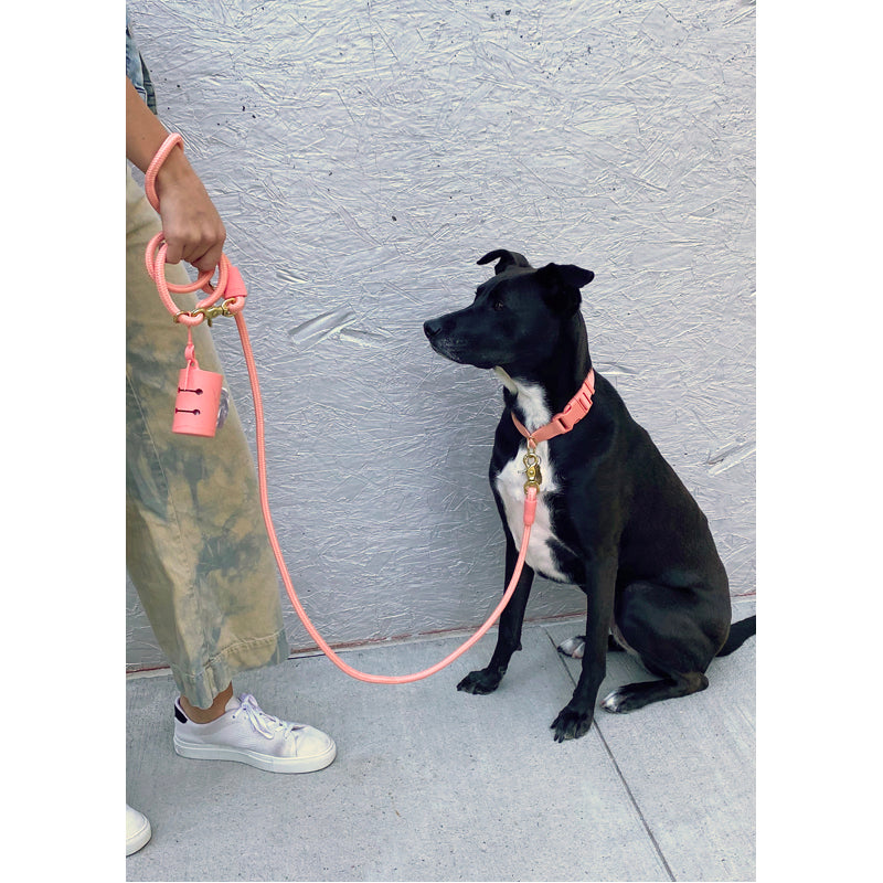 05-awoo-pets-awpoo-bag-holder-5-1_e1b5d098-e920-47e6-8269-7c3d1ff61896_800x