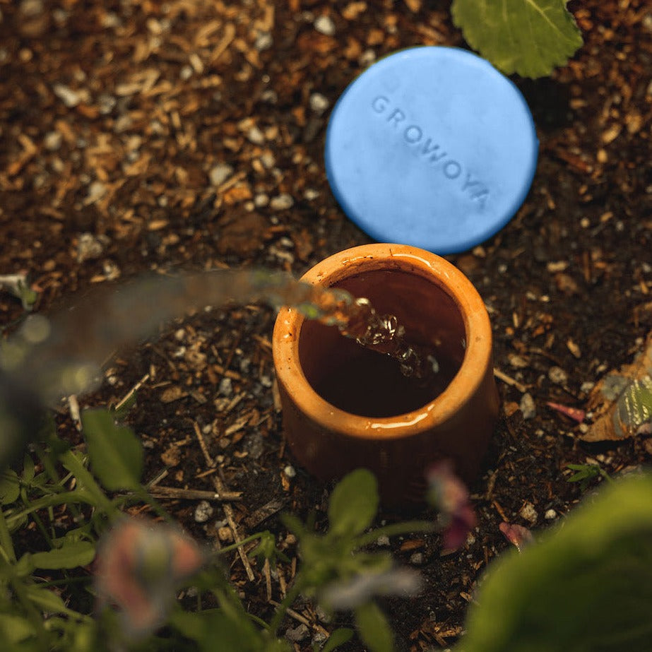 untitled-30_5cc43b55-9698-40ae-8001-79c49ee18b22_923x