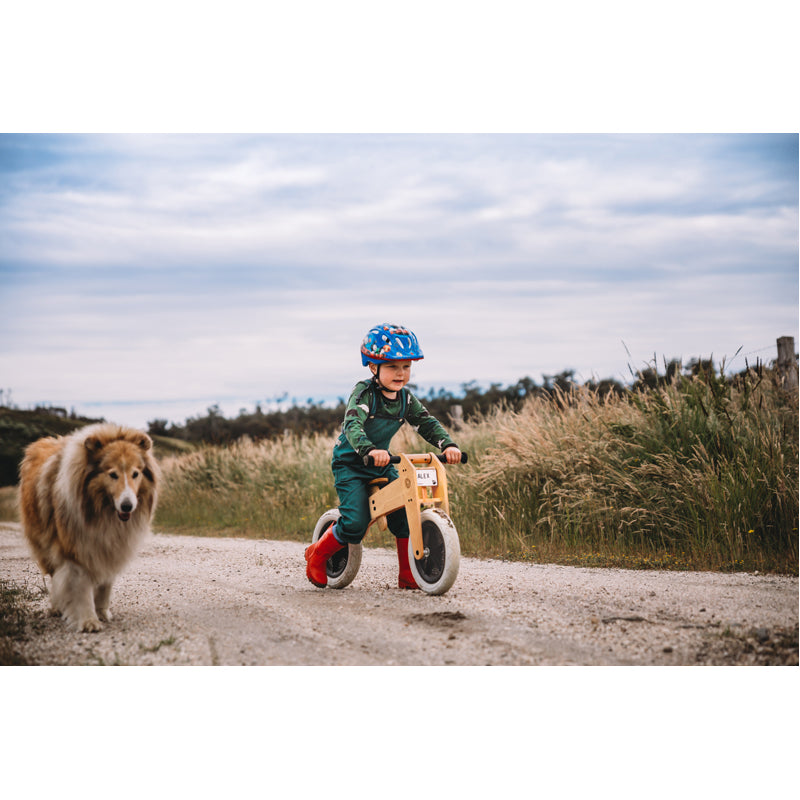 wishbone-designs-2-in-1-toddler-bike-2_91049192-fb57-453d-8395-d2162d0aa567_800x